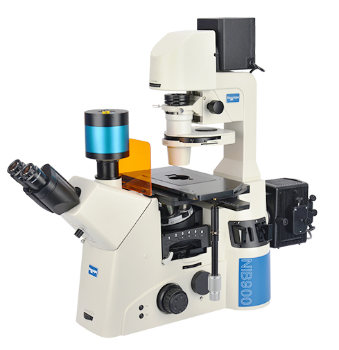 NIB900-FL研究级倒置荧光显微镜