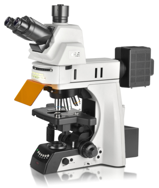 NE950科研级电动荧光显微镜