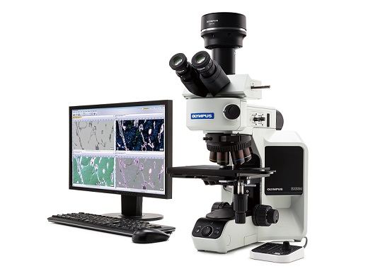BX53M奥林巴斯金相显微镜