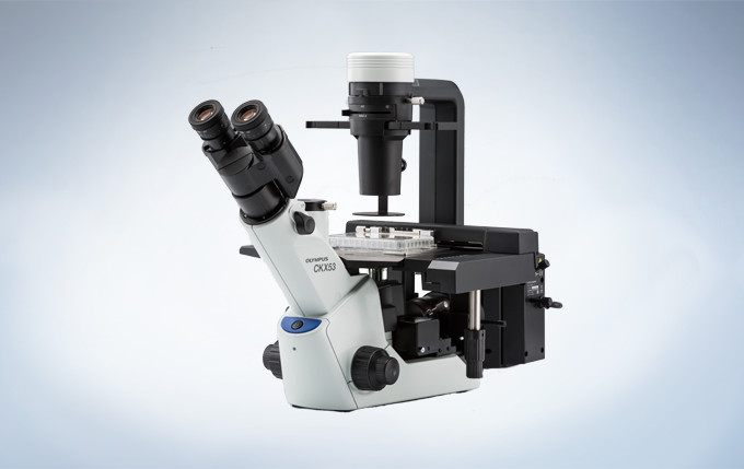 CKX53奥林巴斯倒置显微镜